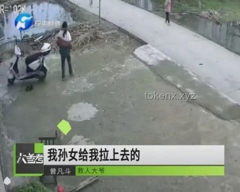 102岁老人坠楼被救与常规坠楼事件的对比分析：社会互助与应急响应